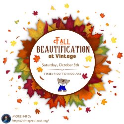 FallBeautification